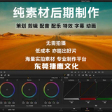 文章附图