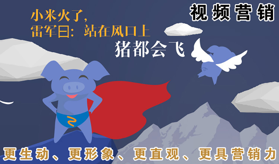 视频营销 猪都会非.jpg