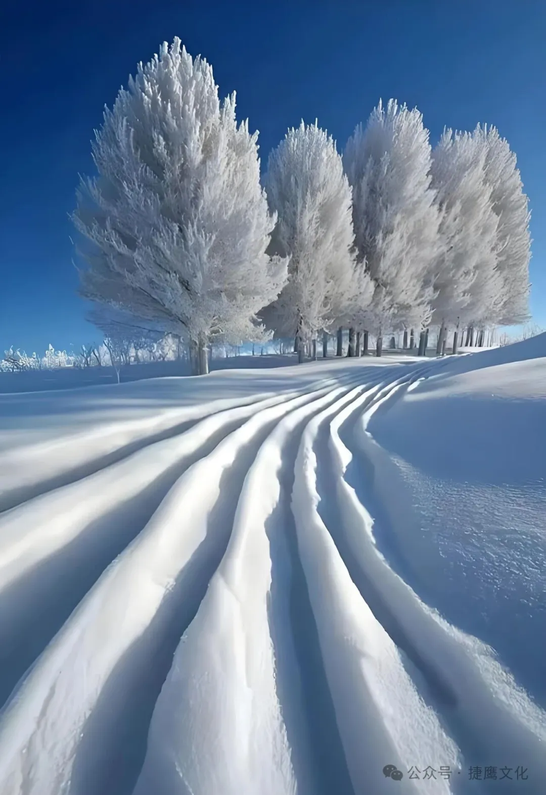 东莞企业宣传片制作 东莞企业宣传片制作