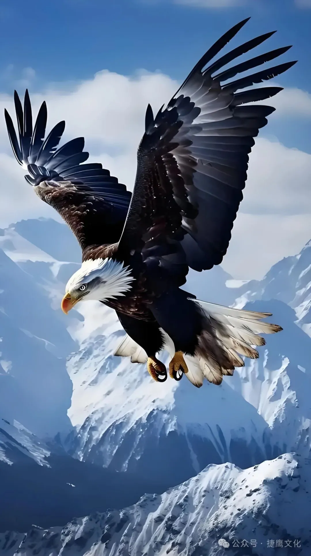 东莞企业宣传片制作 东莞企业宣传片制作