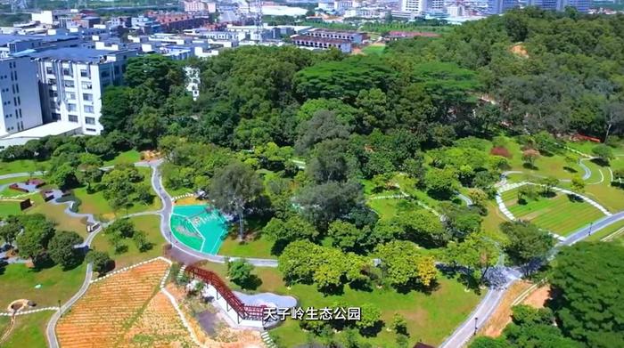 天子岭生态公园航拍.jpg