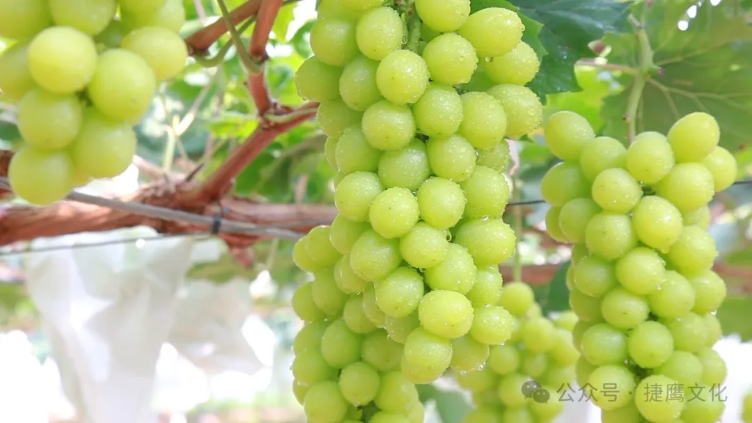 东莞宣传片制作