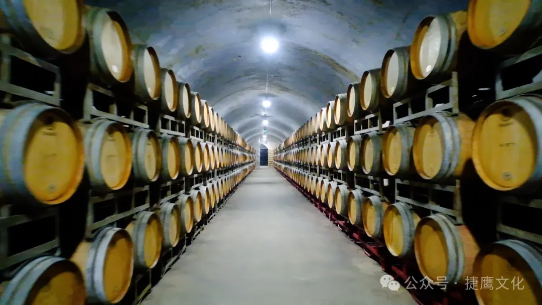 东莞葡萄酒宣传片